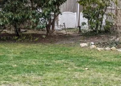 Affordable Landscape Maintenance