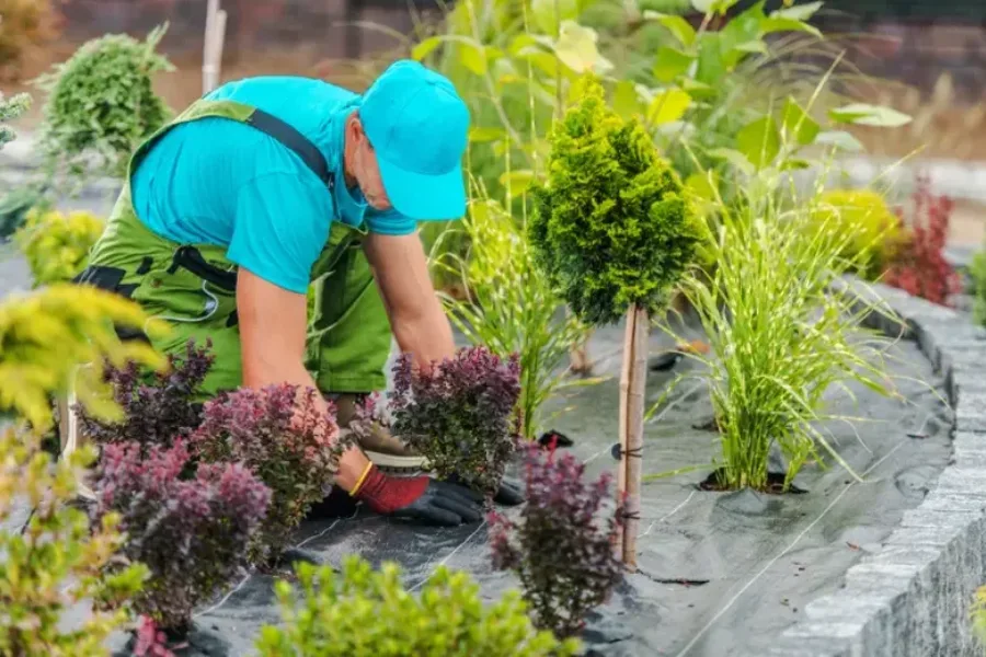 Affordable Lawn Maintenance South Yarmouth, MA Affordable Lawn Maintenance South Yarmouth, MA