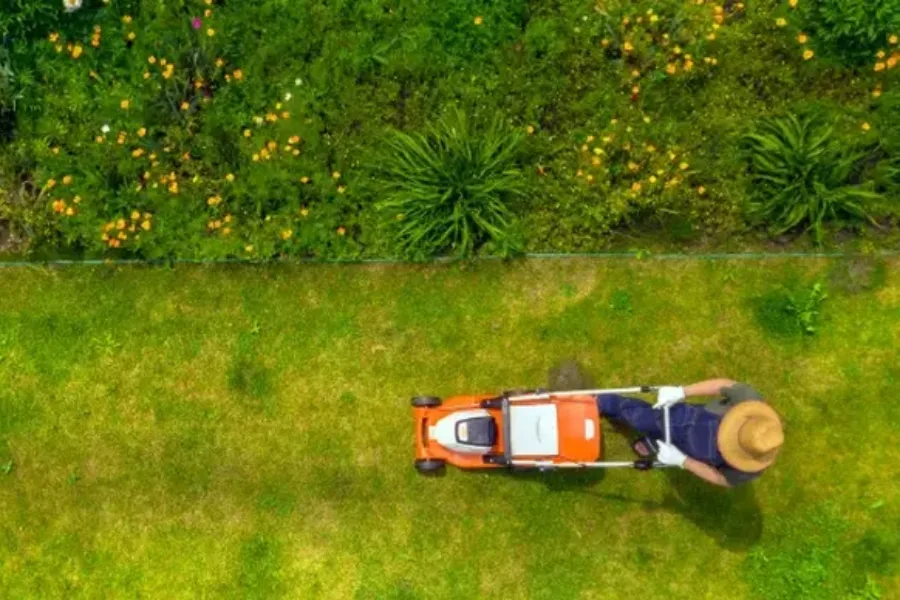 Excellent Lawn Maintenance South Yarmouth, MA Excellent Lawn Maintenance South Yarmouth, MA