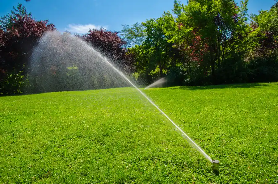 How Irrigation Installation Protects Your Plants During Dry Spells in South Yarmouth, MA How Irrigation Installation Protects Your Plants During Dry Spells in South Yarmouth, MA