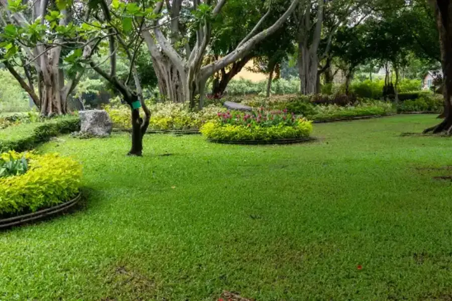 How Professional Lawn Maintenance Saves Time And Effort South Yarmouth, MA How Professional Lawn Maintenance Saves Time And Effort South Yarmouth, MA