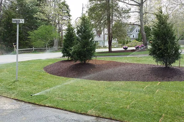 Irrigation Installation