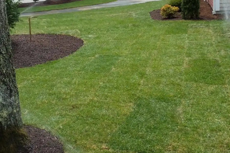 Professional Landscaping Company in South Yarmouth, MA