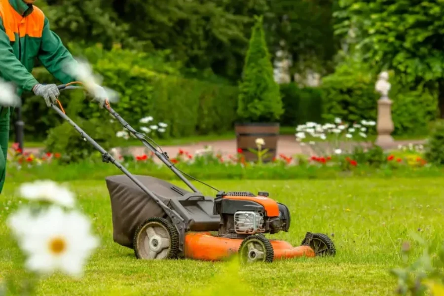 Reliable Lawn Maintenance South Yarmouth, MA Reliable Lawn Maintenance South Yarmouth, MA