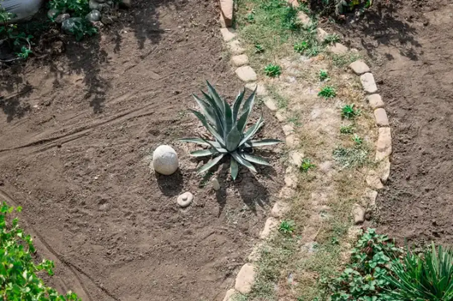 The Importance Of Professional Landscape Installation Services South Yarmouth, MA The Importance Of Professional Landscape Installation Services South Yarmouth, MA
